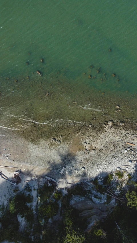 the beach has sand in front and trees near it