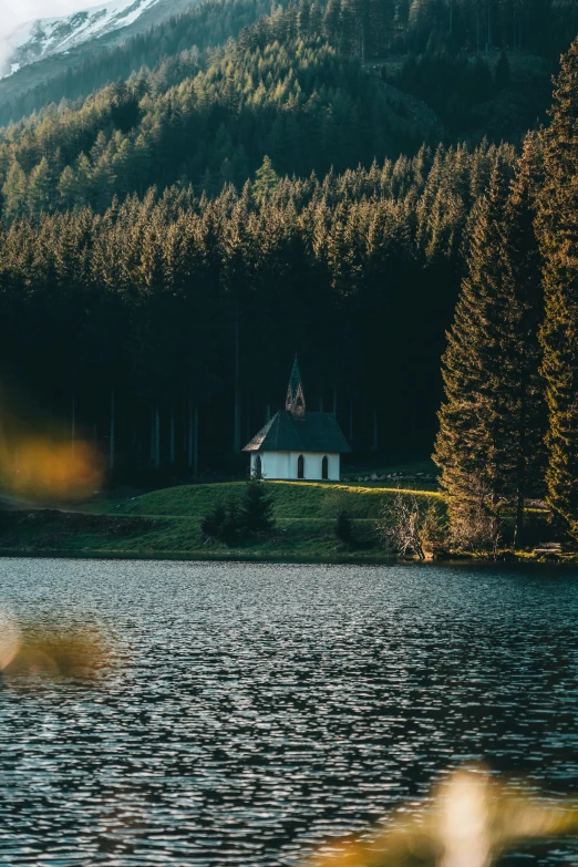 a house in the middle of some water surrounded by trees