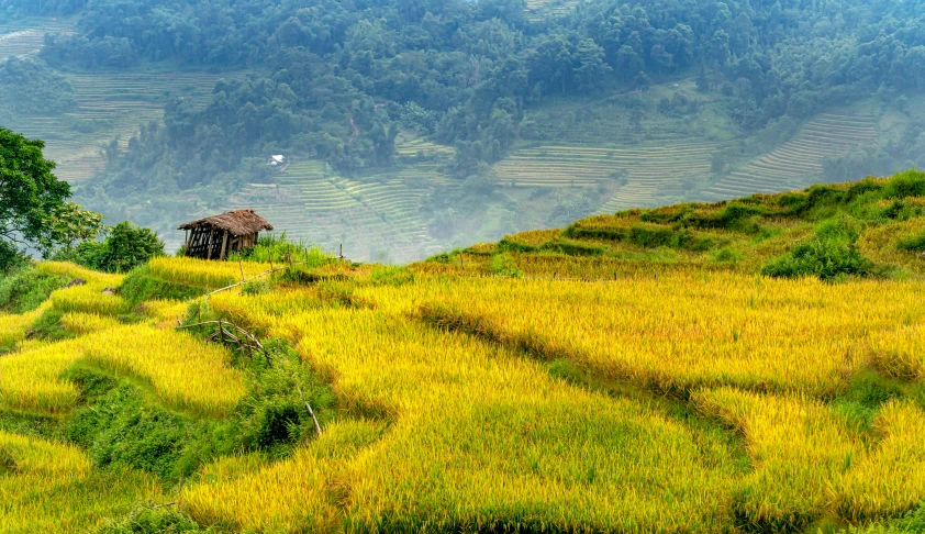 a large green grassy field next to mountains