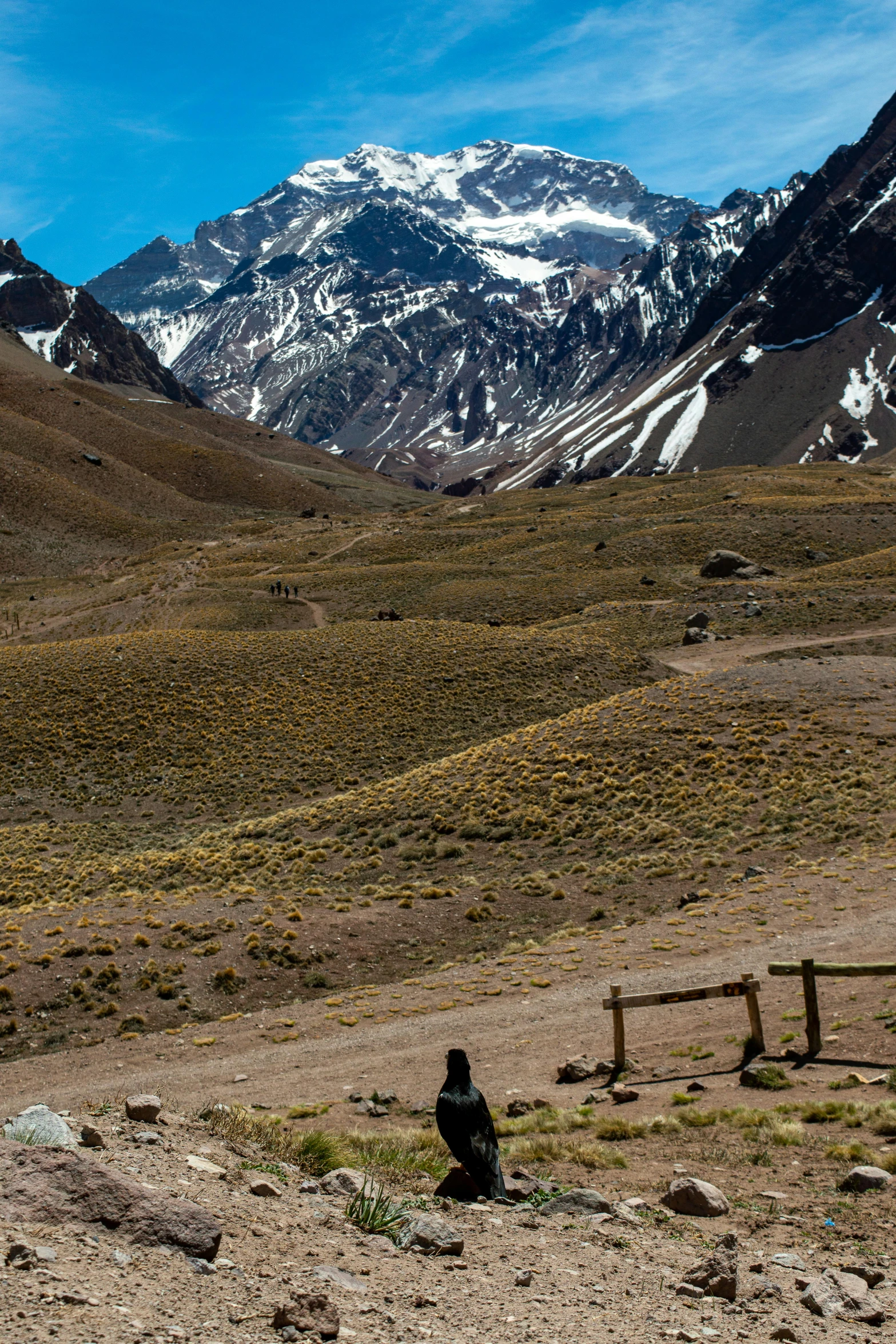 a man in black jacket and red boots standing in a mountain