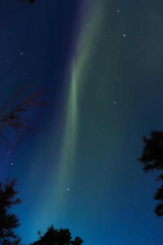 a bright green and blue aurora bore above trees