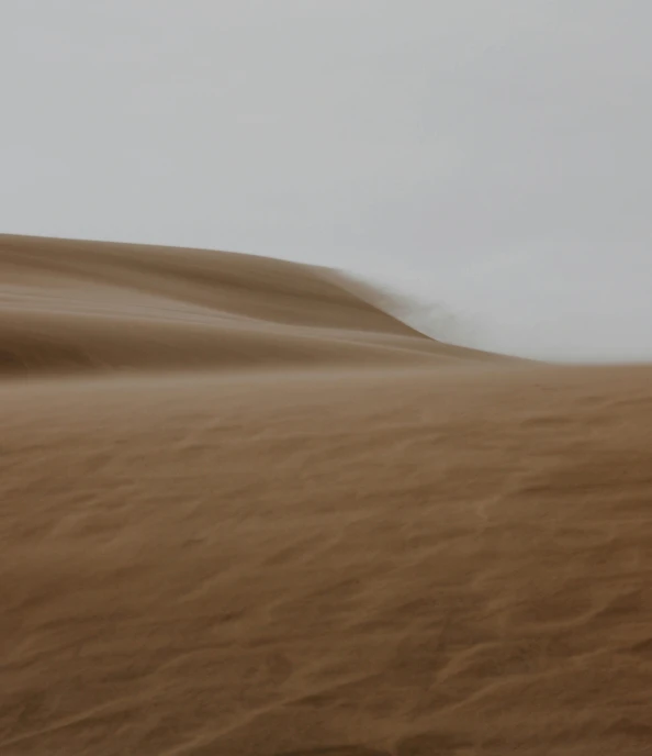 a lone ze standing in the distance on a desert plain