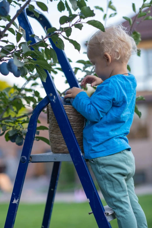 a little girl climbing up a ladder in a garden