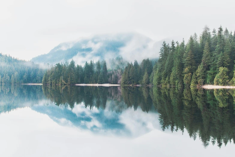 a small lake in the middle of the forest with a reflection on the water