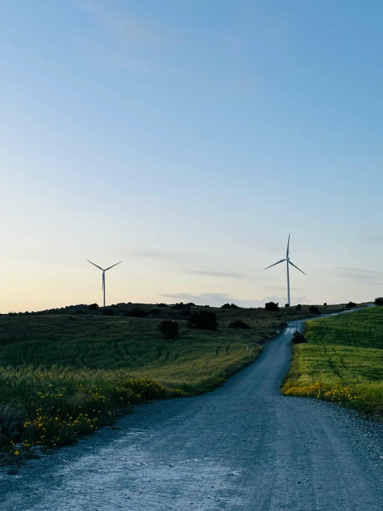 there are many wind mills in the distance