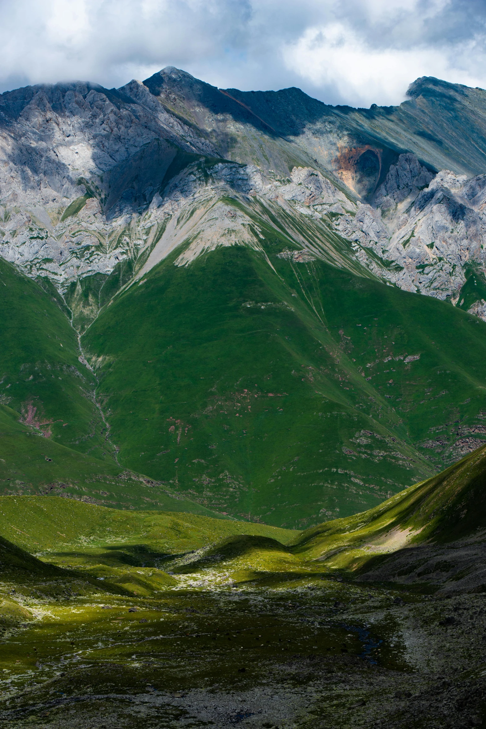 a green hill with trees in the background