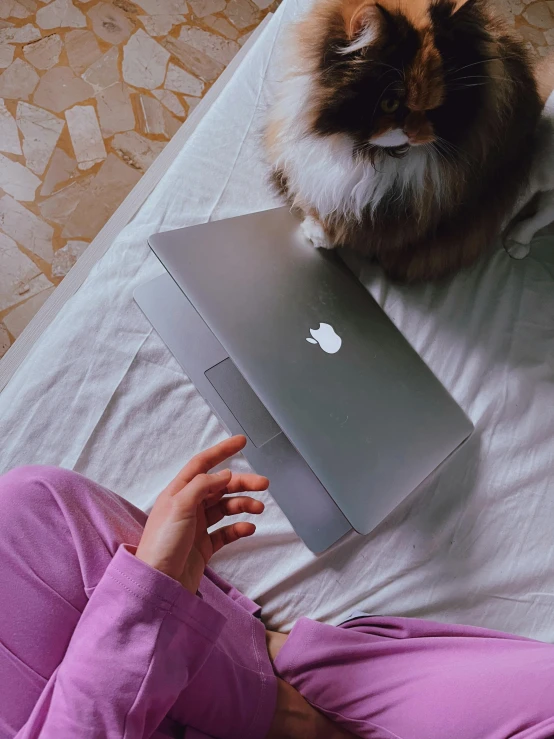 a person holding an apple computer in their hand