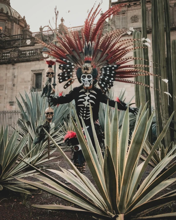 an intricately decorated man and woman in native dress in the center of a cactus garden