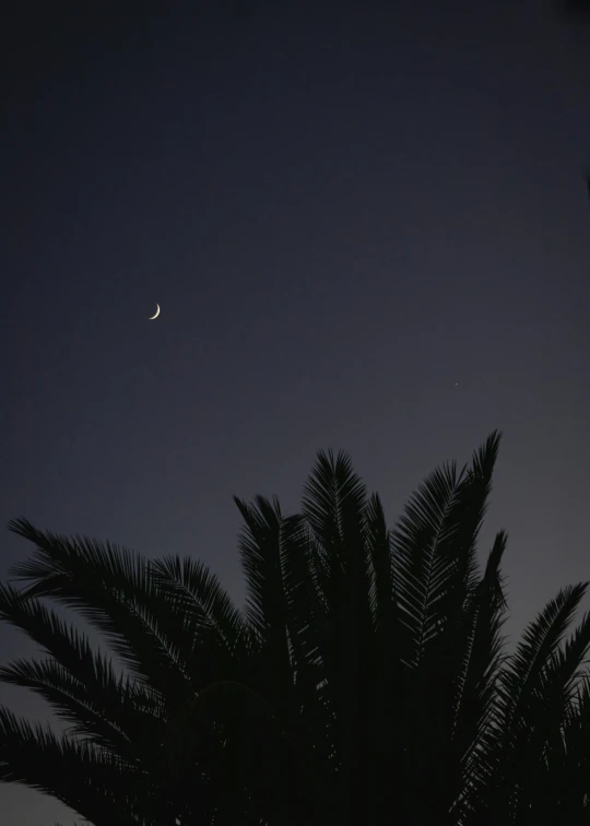 the dark night sky and moon are in the distance