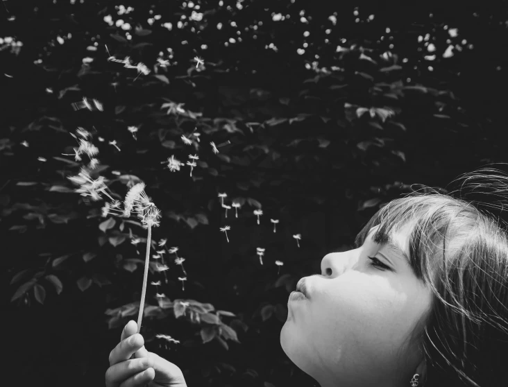 the child is blowing on the dandelion in black and white