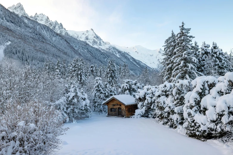 snowy trees and a small log house on a mountaintop