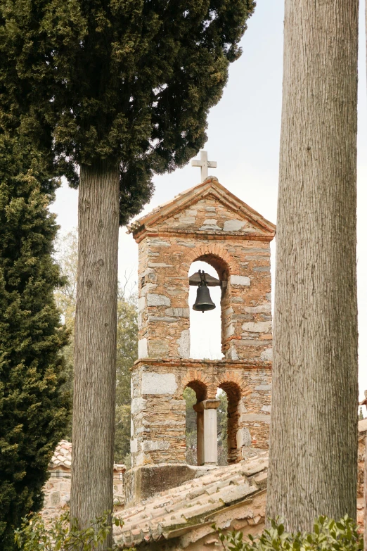 a bell tower seen through three tall trees