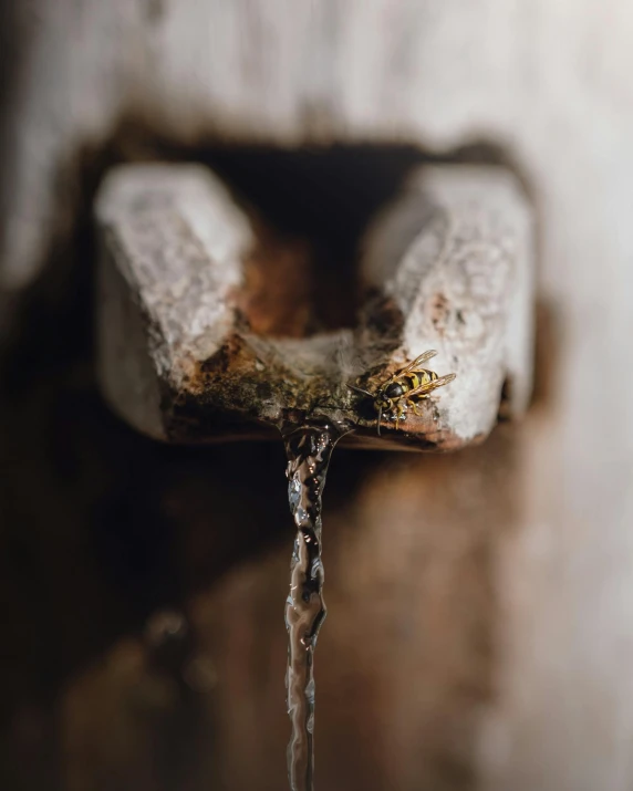 some water flows out of a water faucet