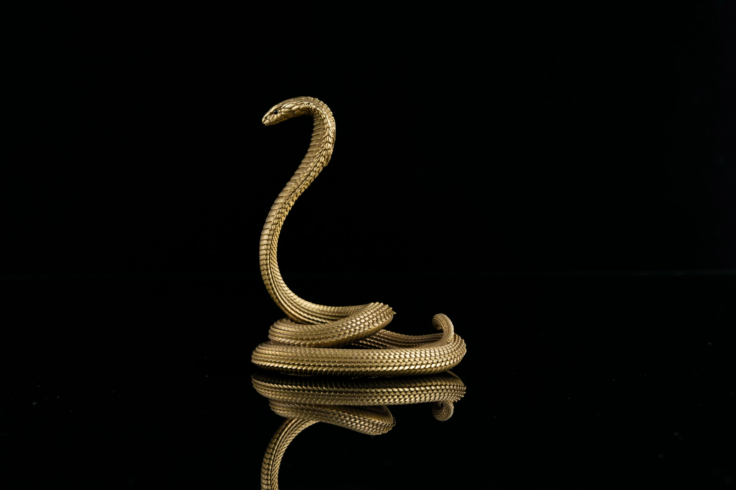 a gold snake ring on black reflective surface