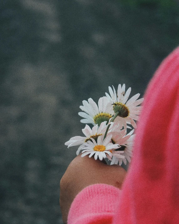 a woman in pink is holding a bunch of daisies