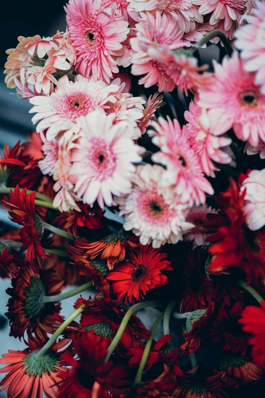 an image of colorful flowers in a vase