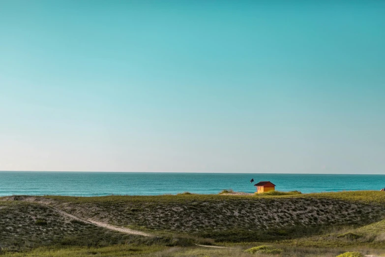 a grassy field next to the ocean with an island on it