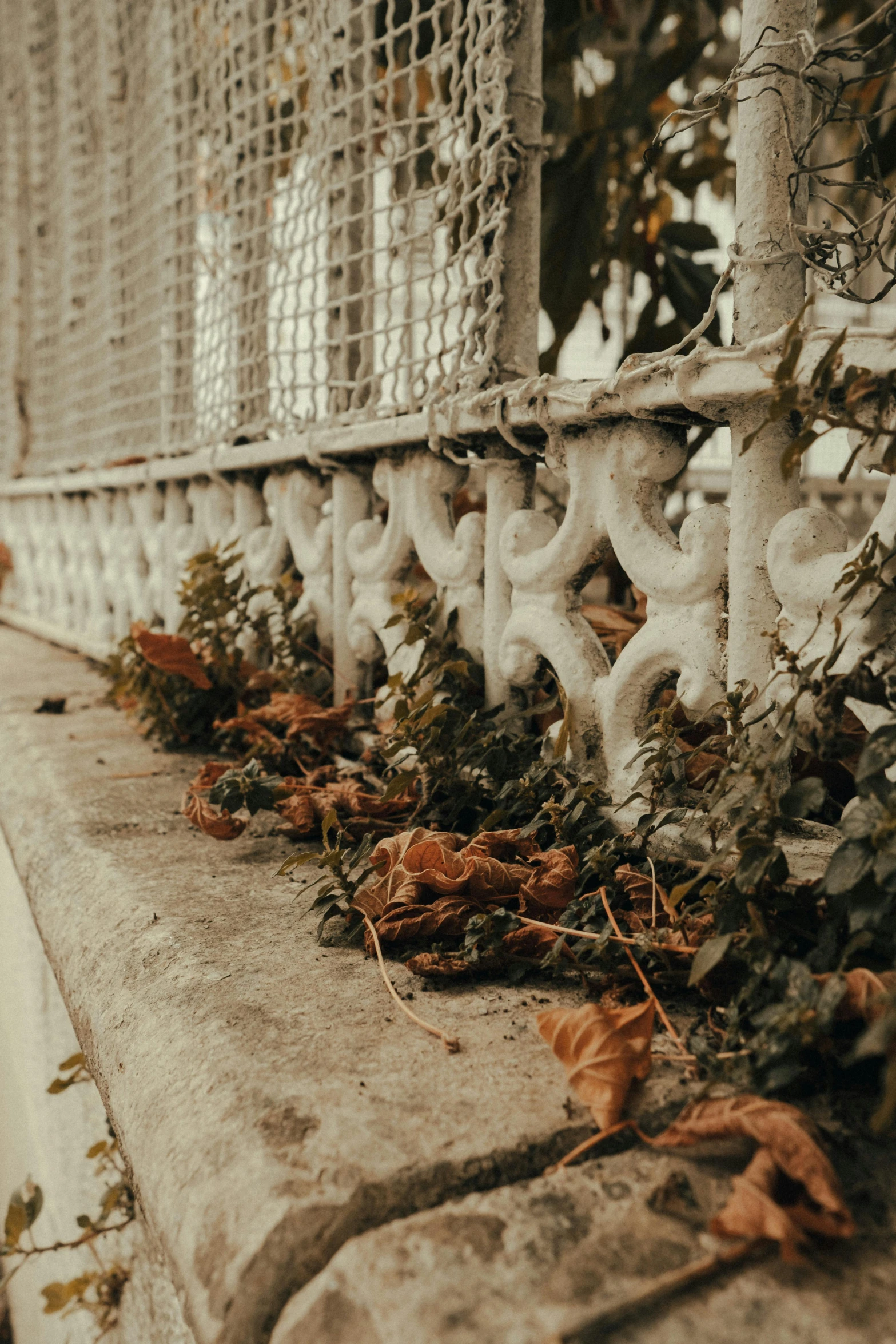 a row of white handrails next to a brick wall with greenery