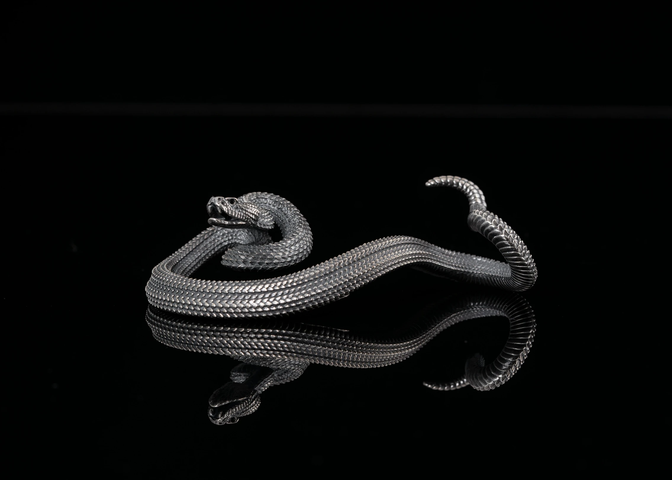 a silver snake on black reflective surface