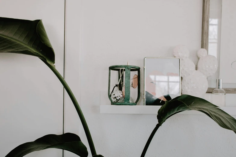 a mirror with flowers sitting on it in front of a large leaf