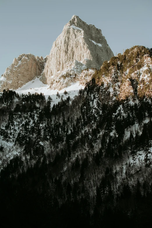 the top of a large mountain with trees and some snow