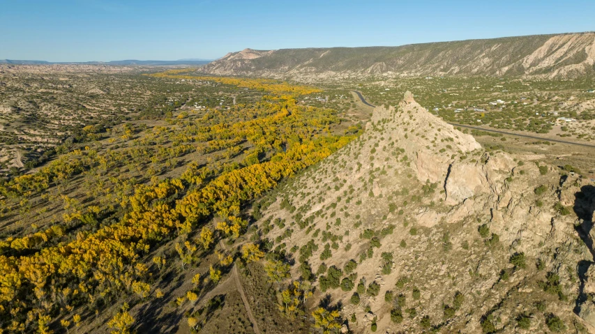 a valley covered in trees surrounded by mountains