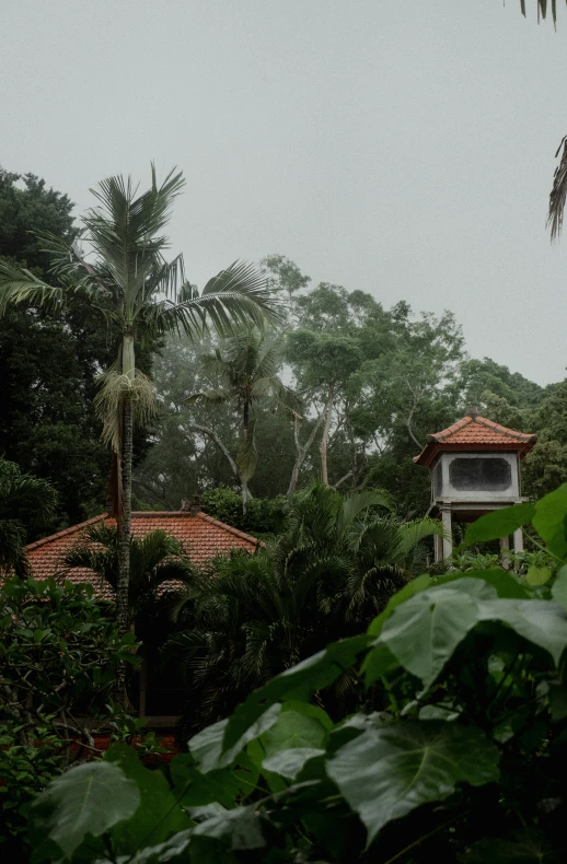 a clock tower in the middle of trees in front of them