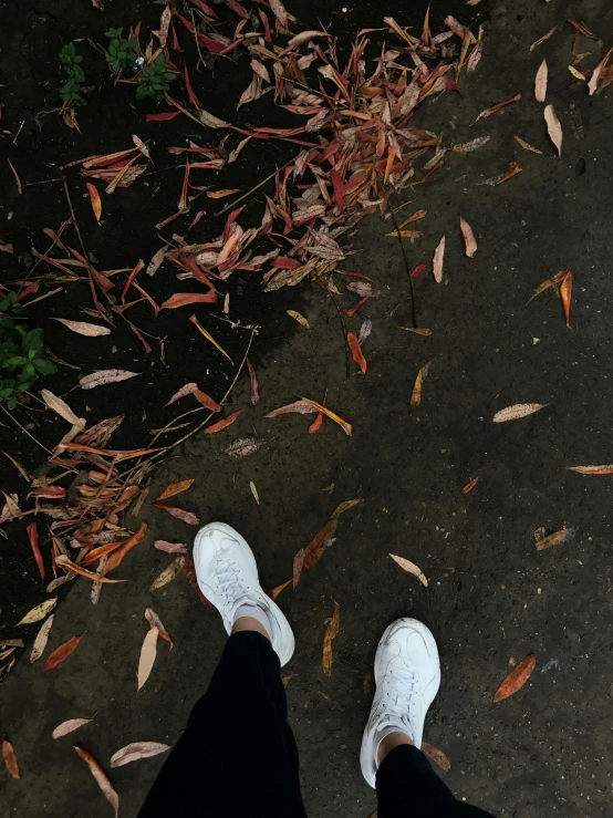 a pair of feet standing outside in the dirt with leaves covering them