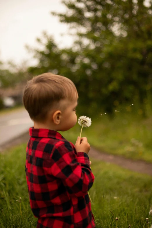 a small child in a red and black checkered shirt holding a flower