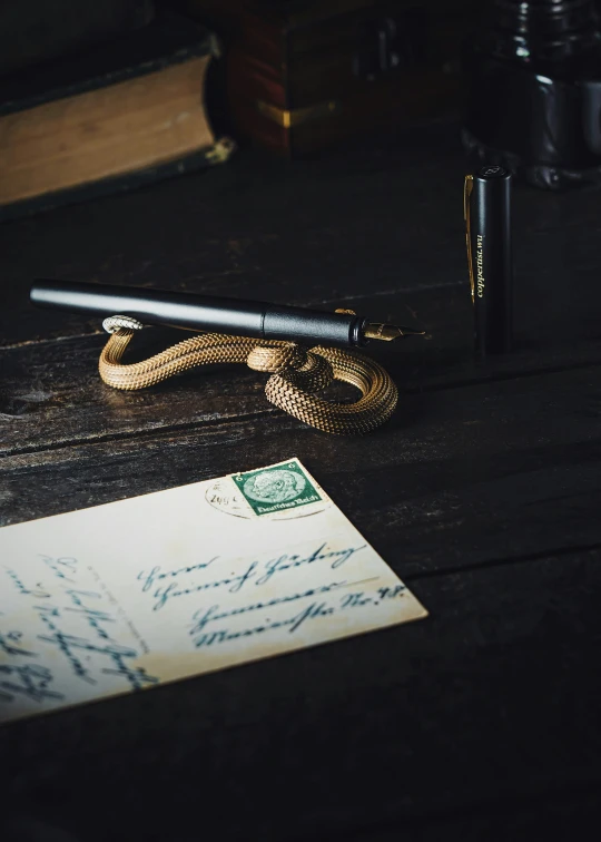 a snake laying next to a pen and post with paper