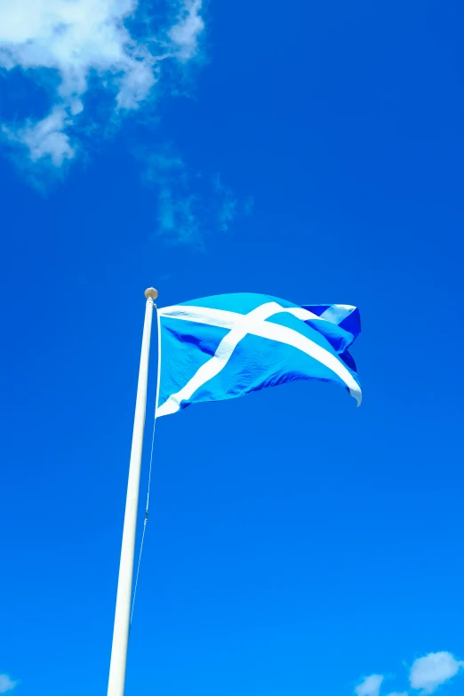 a blue and white flag on top of a white pole