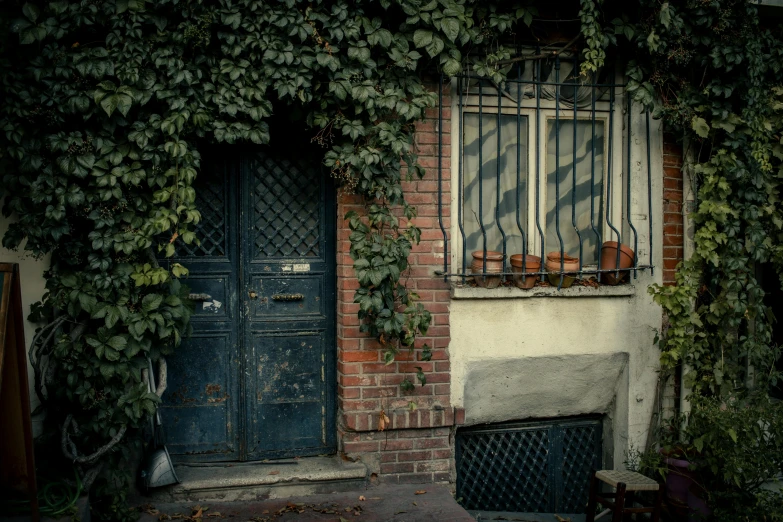 a blue door surrounded by ivy next to a red brick building