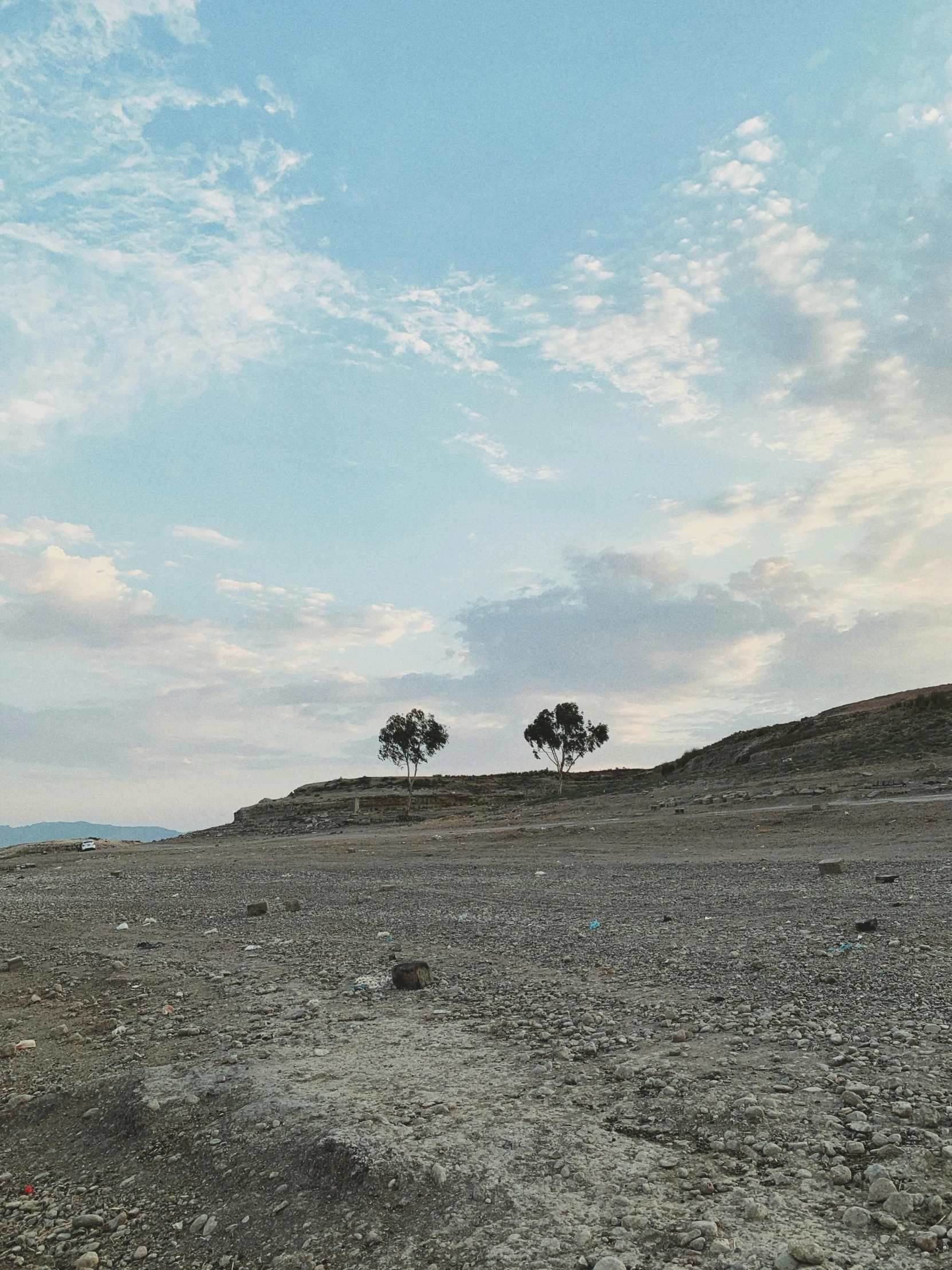 a very barren field with trees on a hill