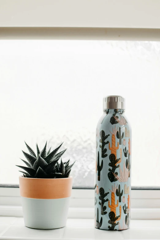 a close up of a cactus on a window sill next to a cup