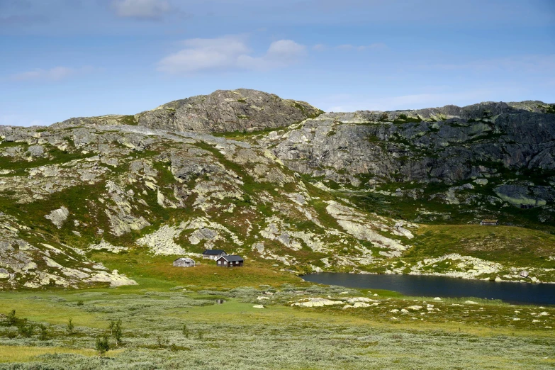 a lush green hillside with a mountain range in the distance