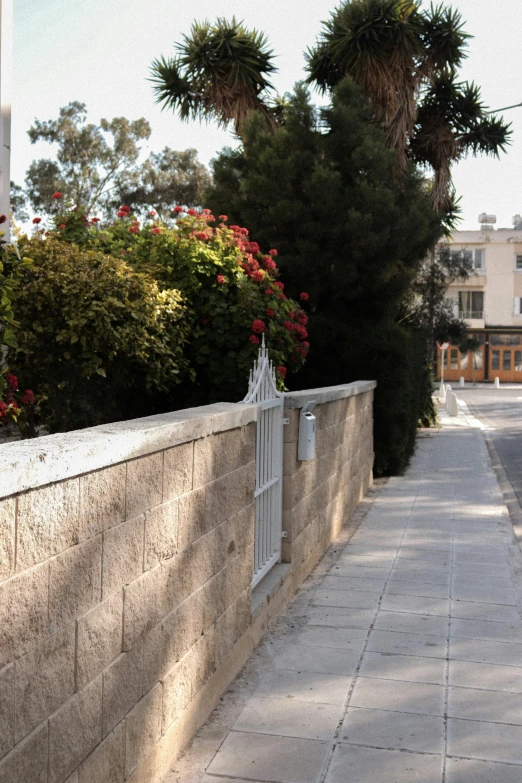 a city street has stone walls and green trees