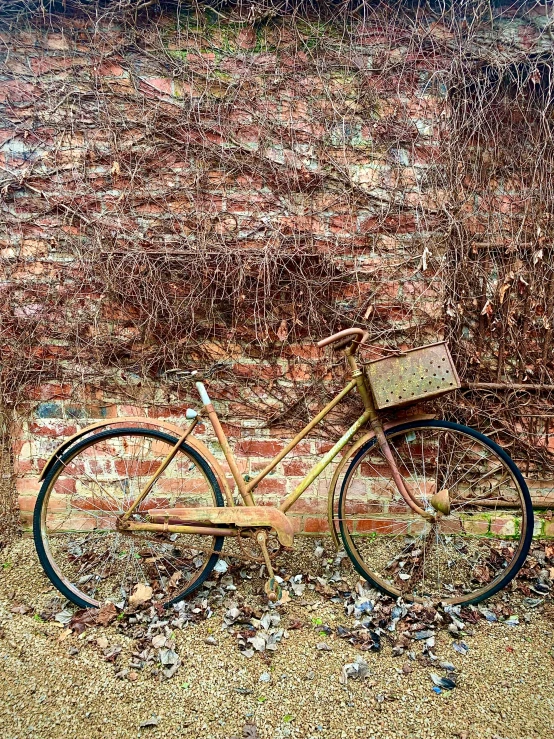 the bike has a basket that is attached to it