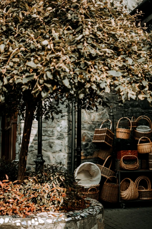 a potted plant is in front of baskets that are stacked on top of each other