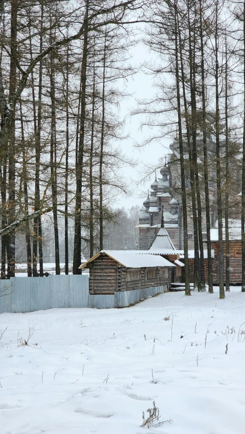 the snowy yard has trees along the fence and houses in the distance