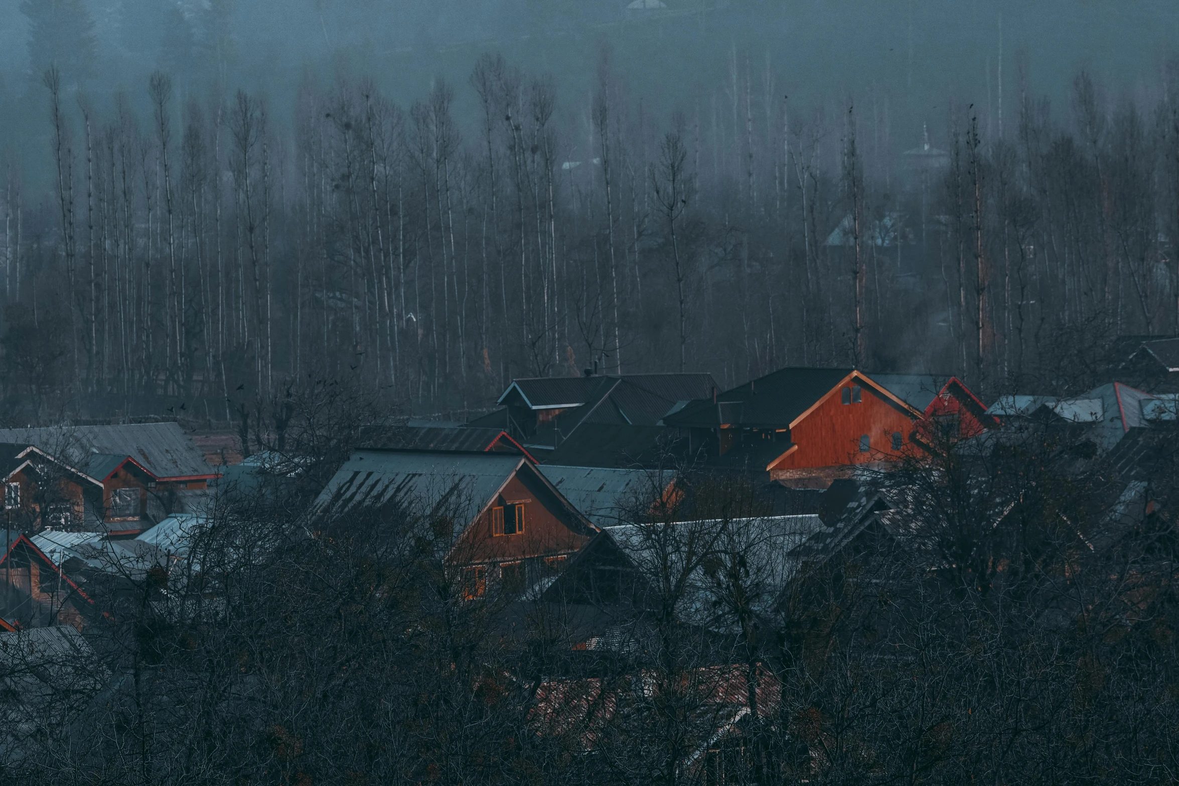 houses in the woods are covered with snow