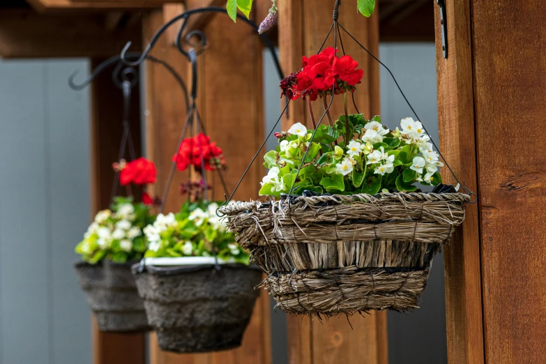 three hanging baskets filled with different types of flowers