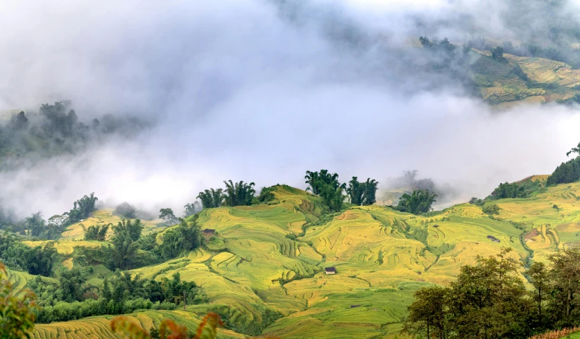 fog rises in the air over a hilly mountain