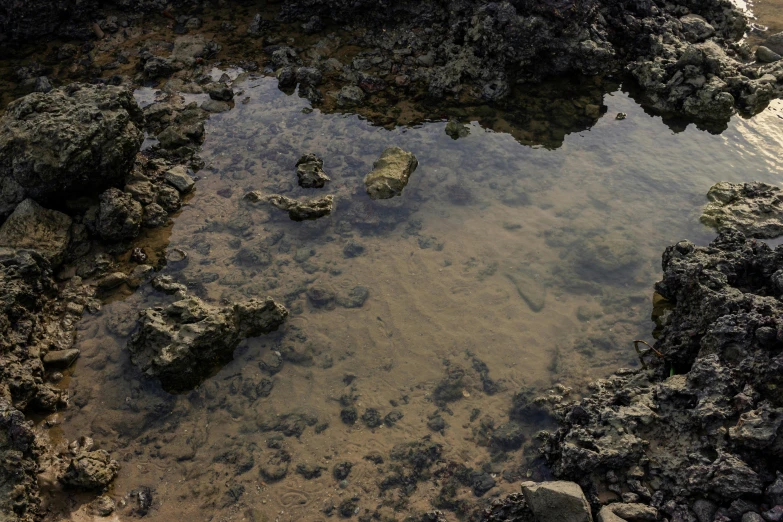 a large rocky sea floor with a pool of water