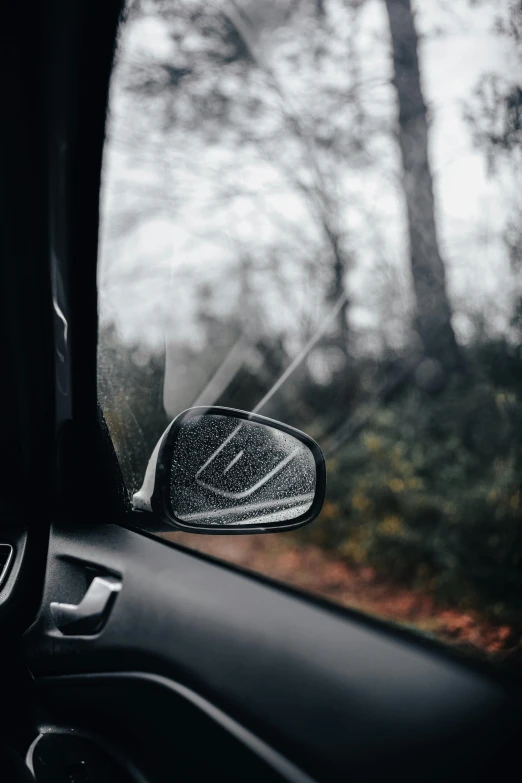 looking out the side window of a vehicle at a tree