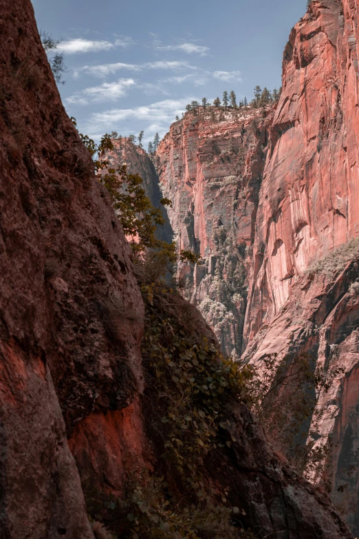 a big cliff by some trees in the wilderness