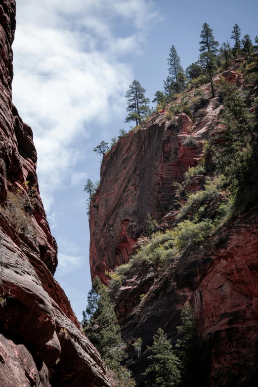 a person riding a horse in a canyon