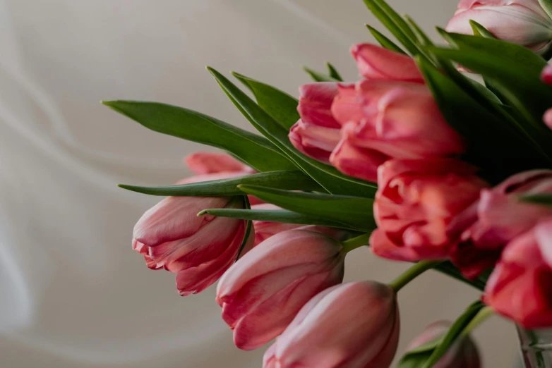 a close up image of a vase with red flowers