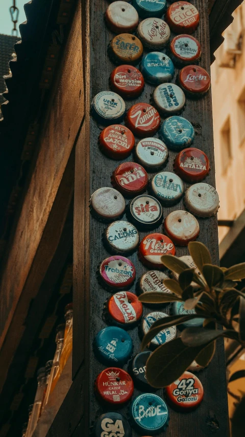 old on wall, with a plant in front