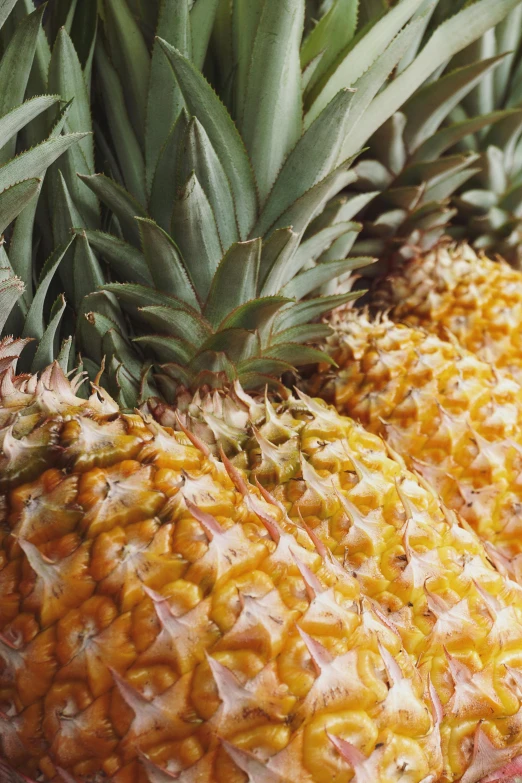 multiple colored pineapples are next to each other