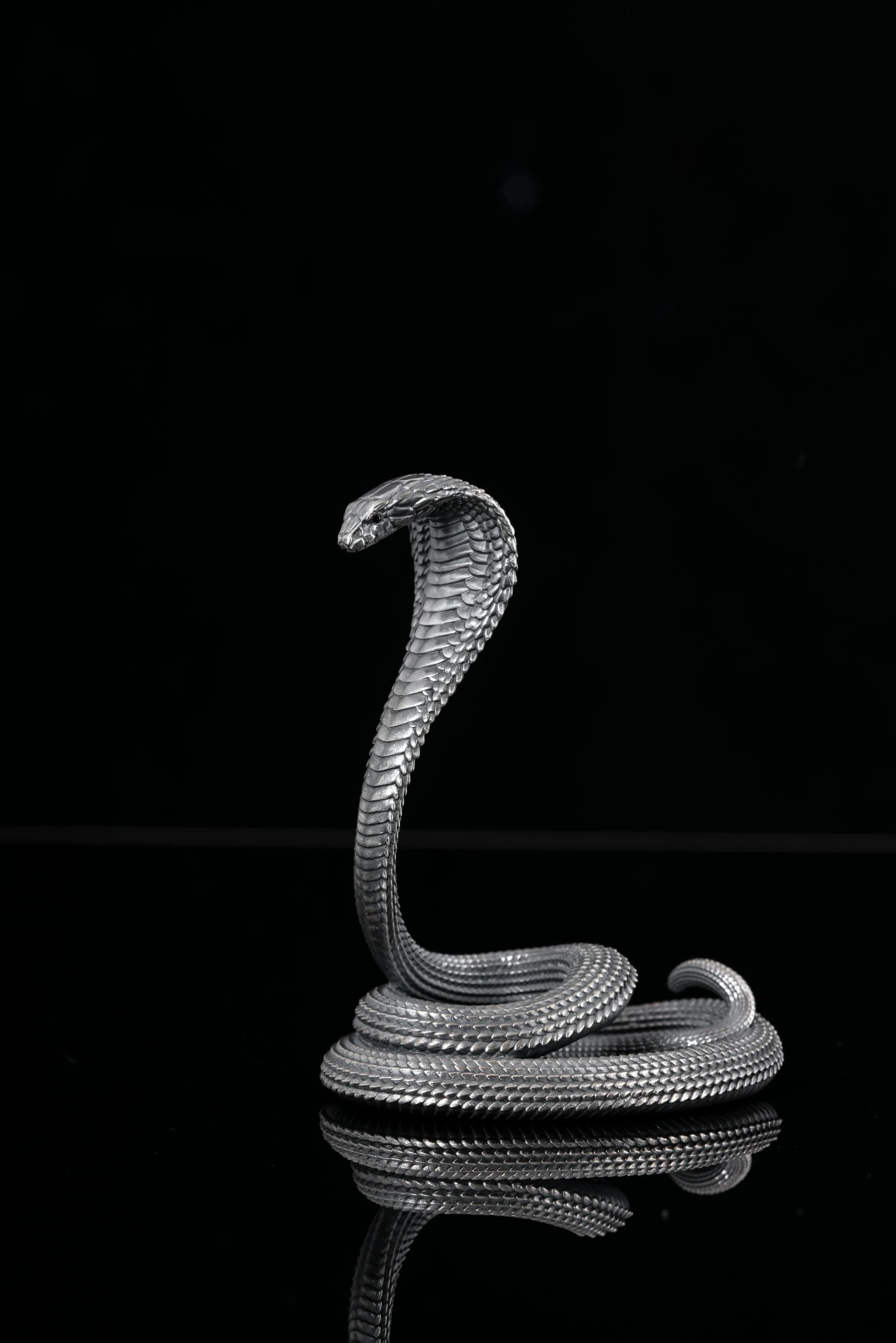 the white snake is reflecting on a black surface